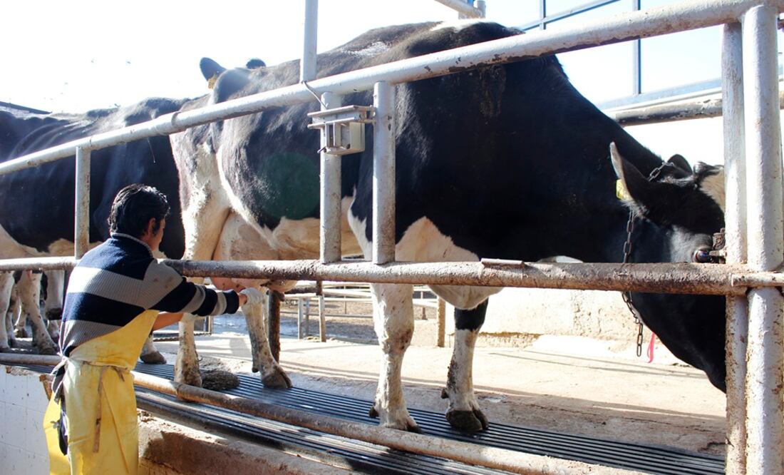 (Foto: Archivo - EL UNIVERSAL)