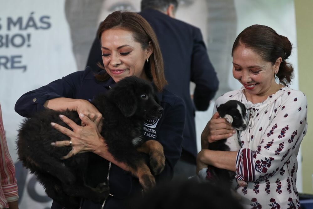 Foto: Cristopher Rogel Blanquet/EL UNIVERSAL