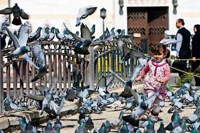 Cese el fuego reduce violencia en Siria; hay ataques aislados