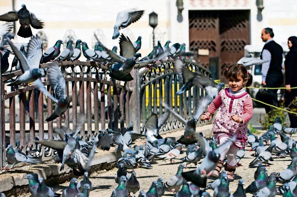Una niña persigue a palomas en la Plaza Marjeh, en Damasco, donde ayer los rebeldes atacaron con granadas, según la agencia de noticas Sana (HASSAN AMMAR. AP)