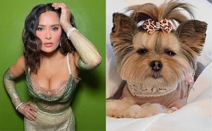Salma Hayek comparte imagen de perrita que copia su vestido