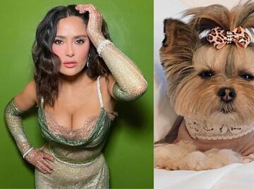Salma Hayek comparte imagen de perrita que copia su vestido