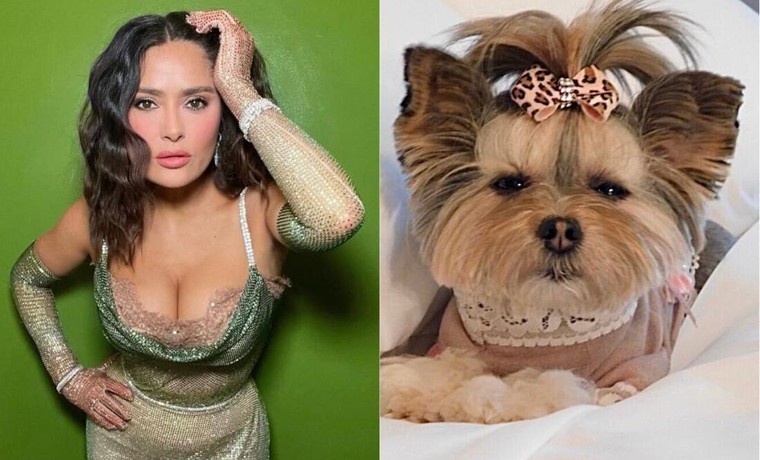 Fotos: Instagram @salmahayek / @liviethemork