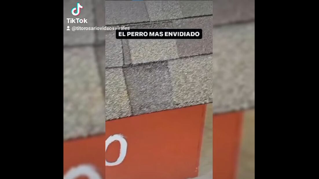 Fuente:Twitter @showmundialshow