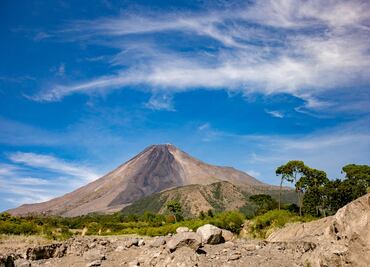 Conoce la iniciativa de Cervecería de Colima con el medio ambiente y sus resultados