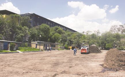 Tecnosuelos para reverdecer la Ciudad de México