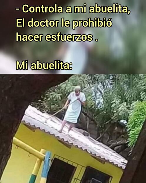 Memes Día del Abuelo. Foto: Redes sociales