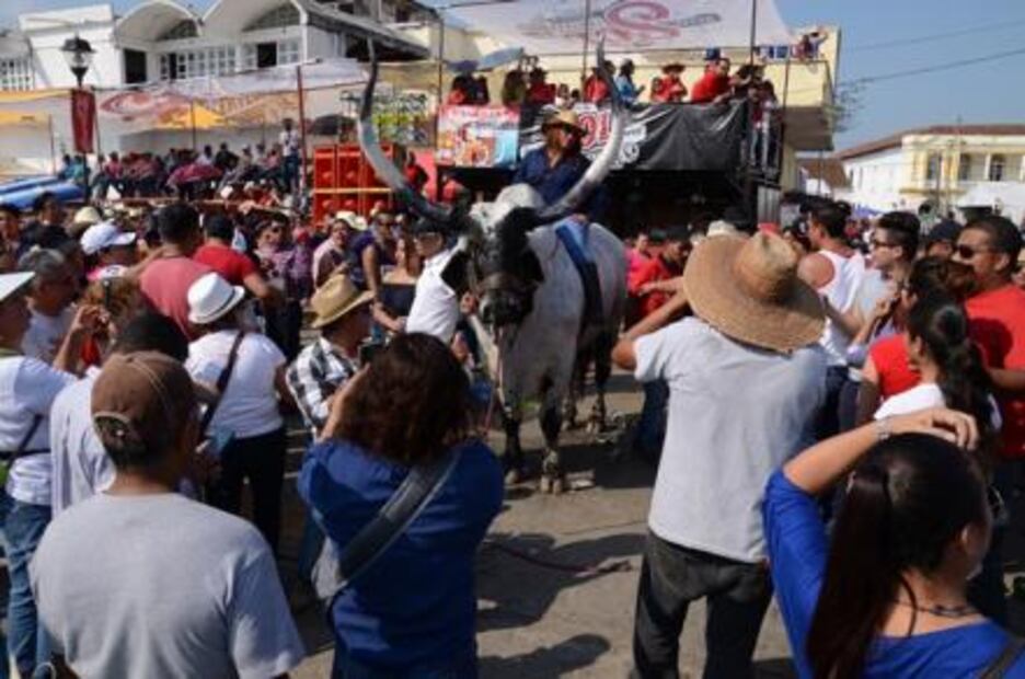 Tras trifulca, pobladores celebran embalse de toros en Tlacotalpan