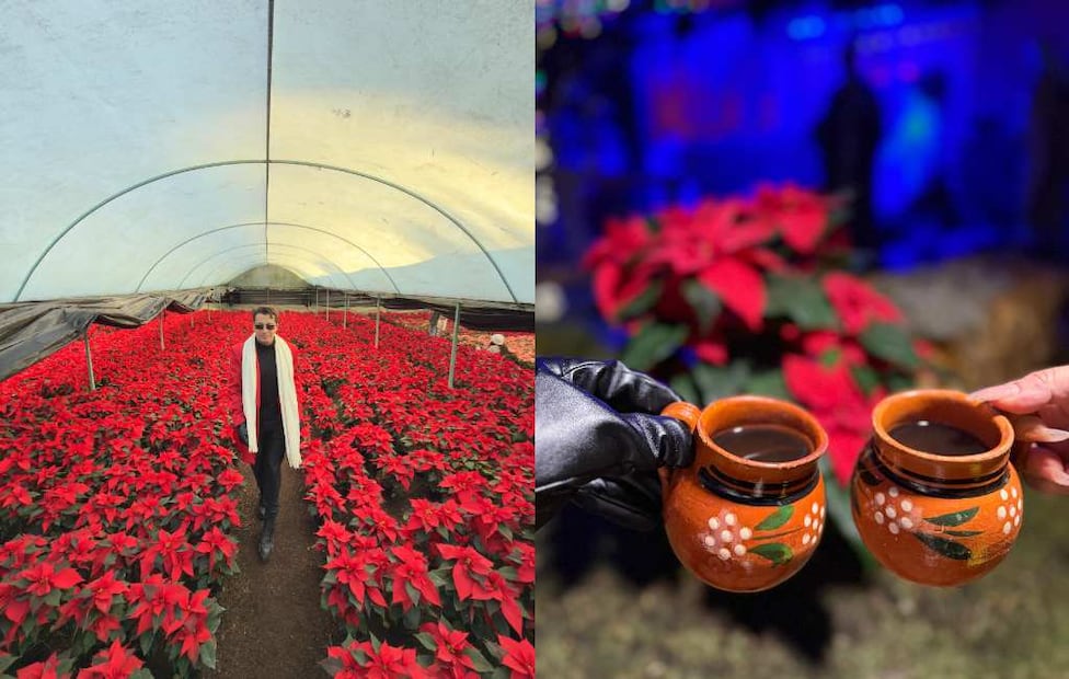 Fotos: Víctor Violante