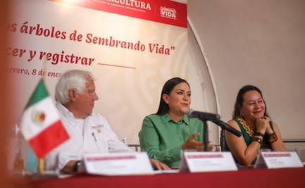 Secretarías de Bienestar, Medio Ambiente y Agricultura continúan con registro árboles y especies de Sembrando Vida