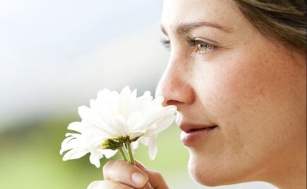 Los seres humanos tienen tanto olfato como los perros, dice un estudio