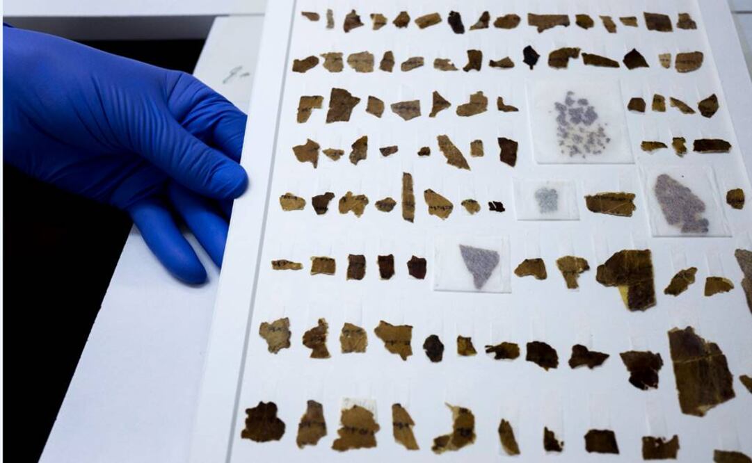 Miles de fragmentos fueron hallados en las cuevas de Qumran hace más de 60 años; algunos son dominutos. (FOTO: EFE)