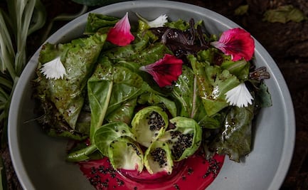 Opciones de alimentación para los que quieren dejar la carne