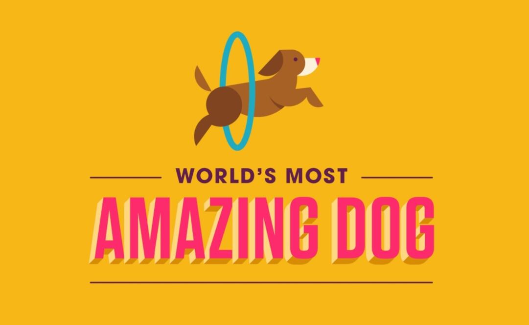 Un perro mexicano será parte del primer episodio de la nueva serie de competencia perruna interactiva World’s Most Amazing Dog