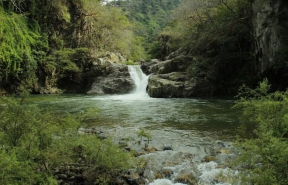 Canopy River en Puerto Vallarta, el parque de aventura con actividades emocionantes