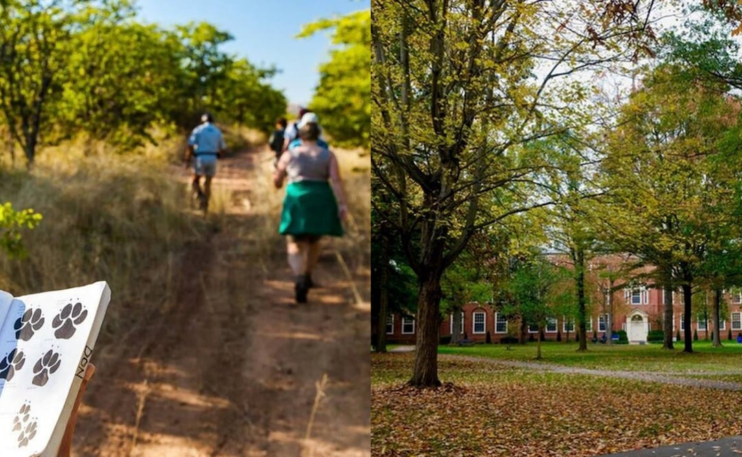 ¿Qué se celebra este 5 de diciembre?