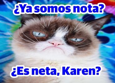 Cuál es el origen de los memes de Karen