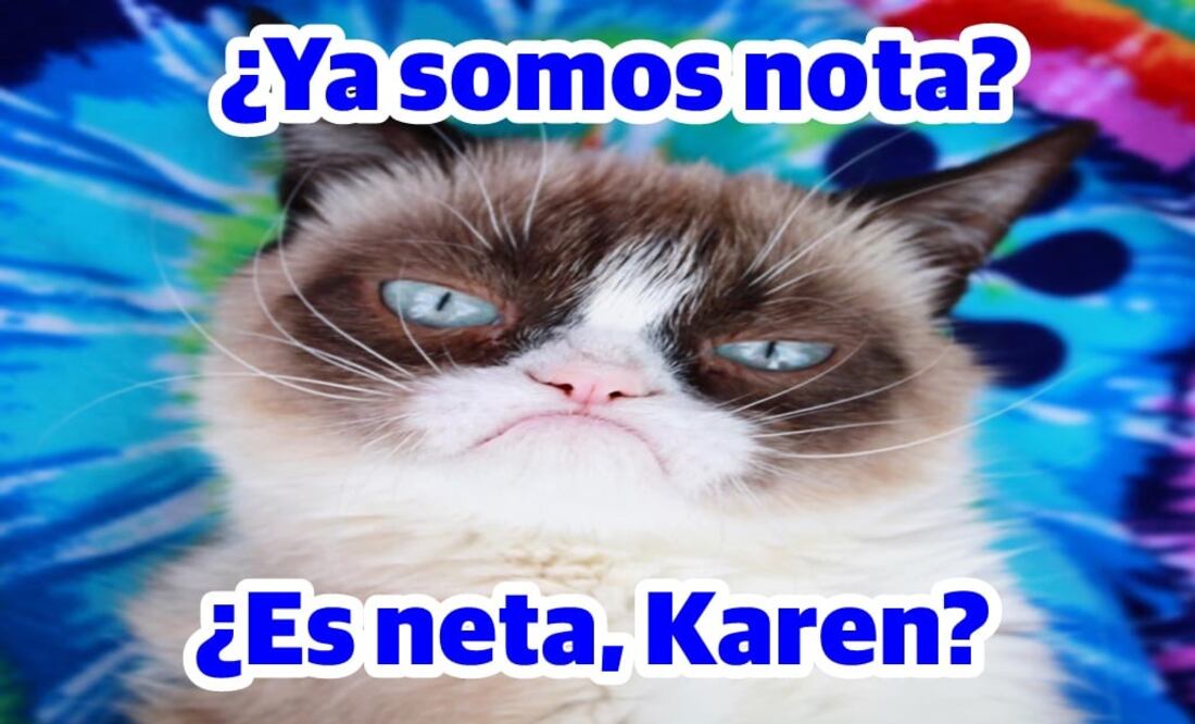 Los memes de gatos irritados con Karen se han viralizado / Foto: Facebook