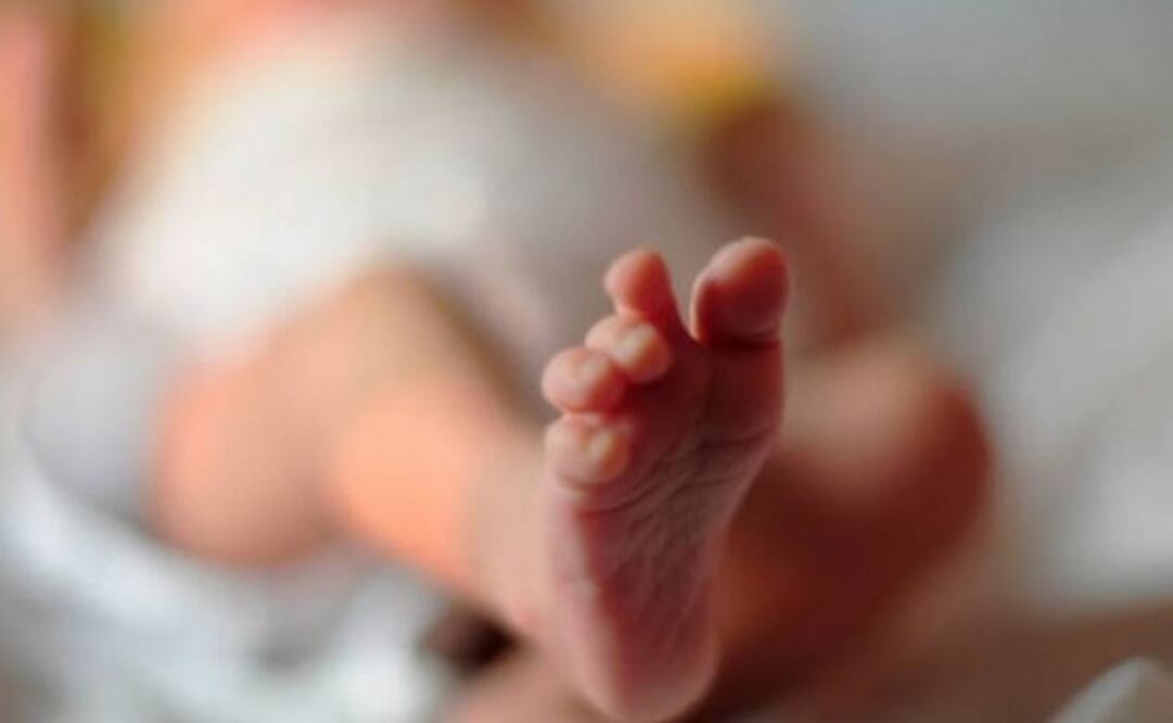 The babies will be kept in isolation and under strict monitoring - Photo: File photo/EL UNIVERSAL