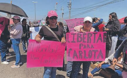 Hoy se define situación legal de Carlota y sus hijos