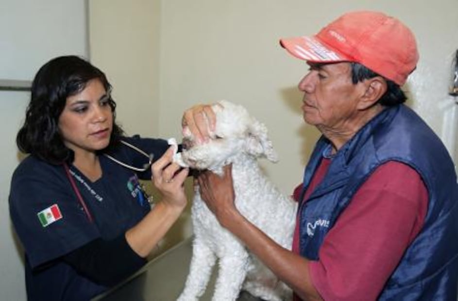 Centro de Atención Canina de Ecatepec salva vida de perros