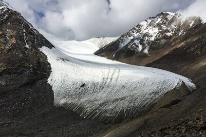 Descubren virus que yacían congelados desde hace 15 mil años en el Tibet 
