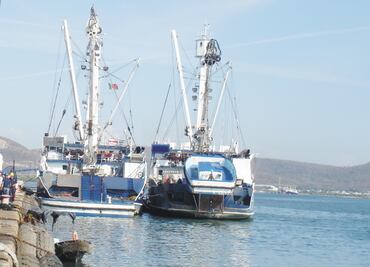 Reconocen pesca responsable de México