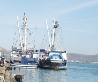 Reconocen pesca responsable de México