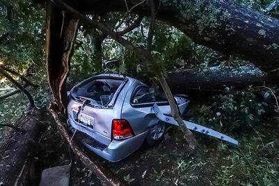 "Michael" deja 2 muertos y devastación en Florida y Georgia