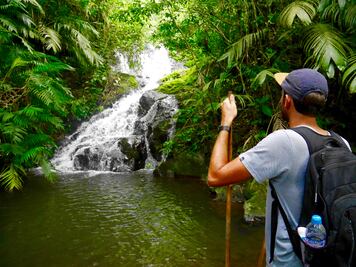 Cultivar hongos y nadar desnudo en cascadas: 3 viajes al México profundo