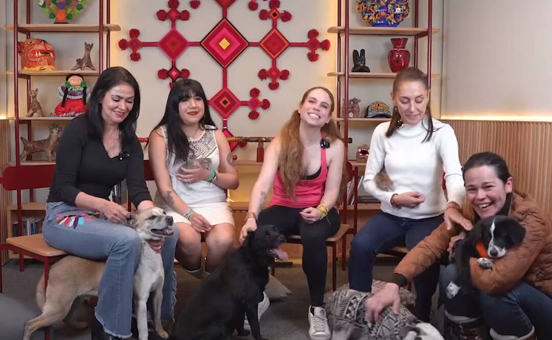 La precandidata de la coalición Sigamos Haciendo Historia, Claudia Sheinbaum, invitó a sus escuchas a adoptar perros y gatos y cuidar a los animales de compañía. Foto: captura de pantalla