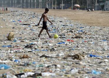Marine life hanging by a thread due to plastic waste