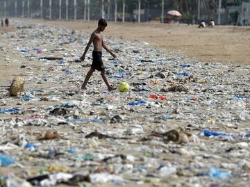 Marine life hanging by a thread due to plastic waste