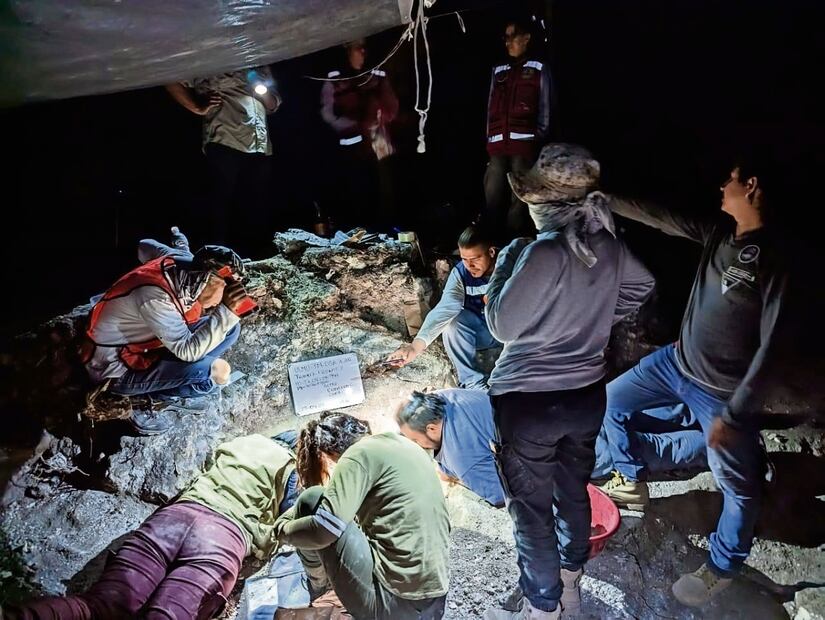 Tren Maya: “La exploración arqueológica debe mejorar”