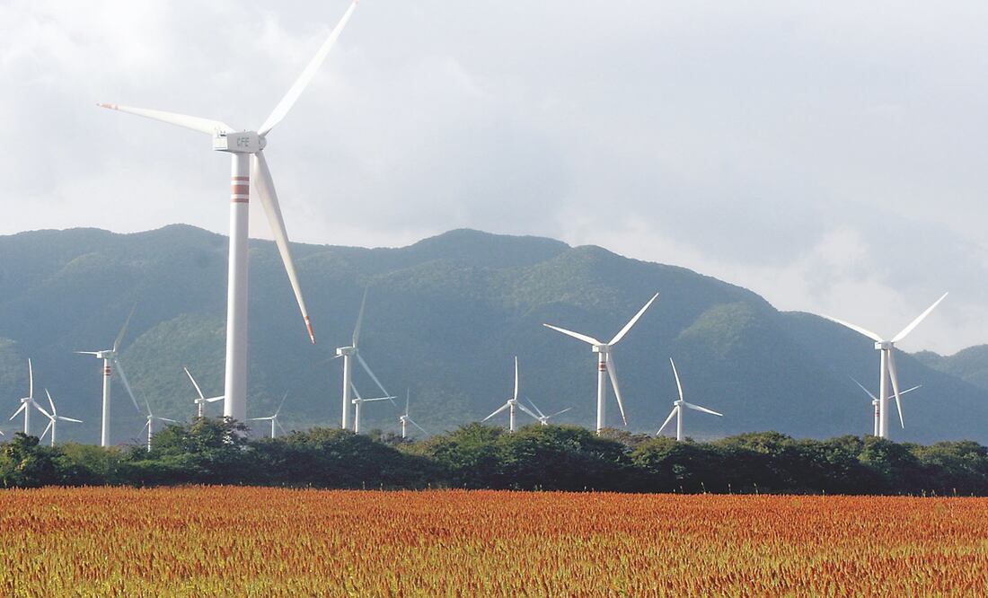 Foto: Archivo / EL UNIVERSAL