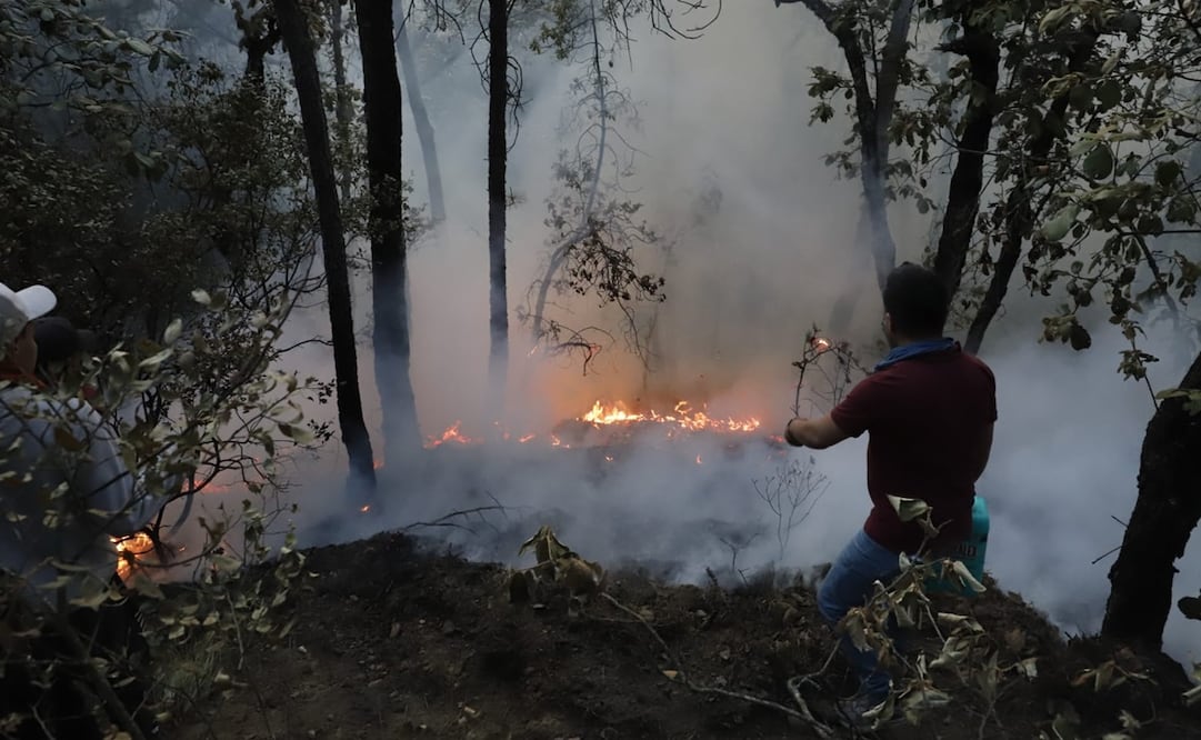 Incendio forestal en Hidalgo / Foto: Especial