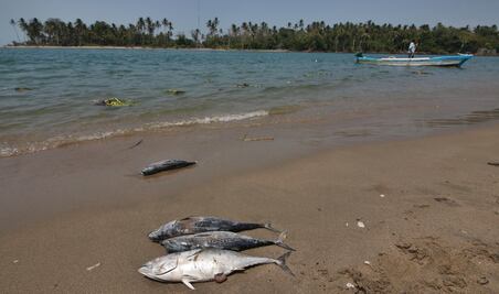 FOTOS: Pesca y turismo afectados en Paraíso, Tabasco, por derrame de hidrocarburo