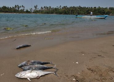 FOTOS: Pesca y turismo afectados en Paraíso, Tabasco, por derrame de hidrocarburo