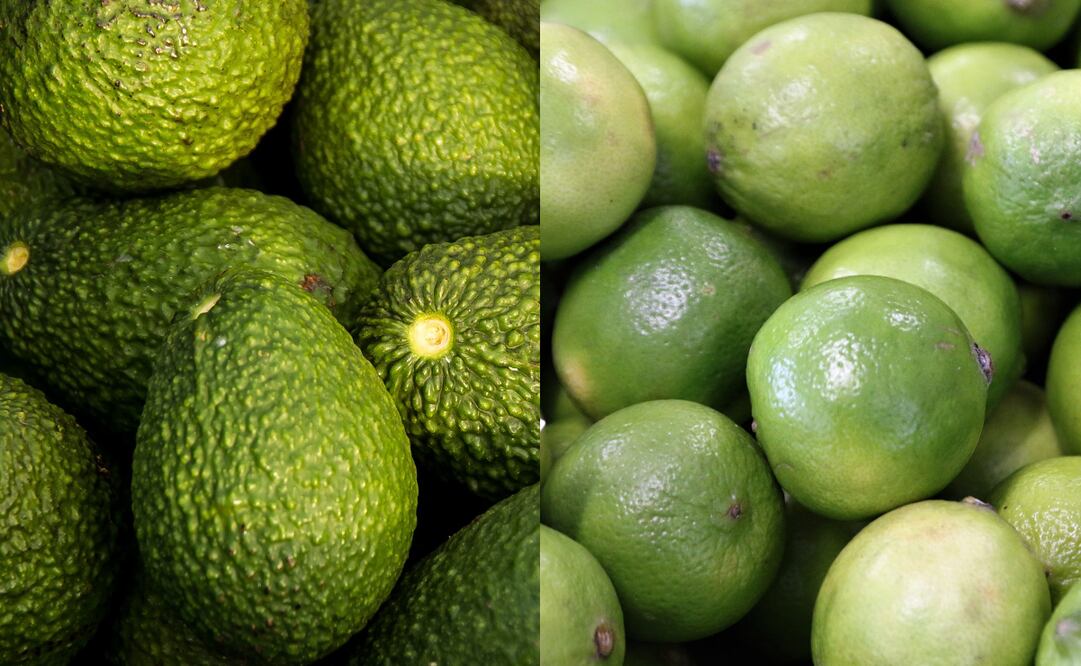 El limón y el aguacate han tenido una importante alza en sus precios en lo que va del 2022. Foto: Pixabay