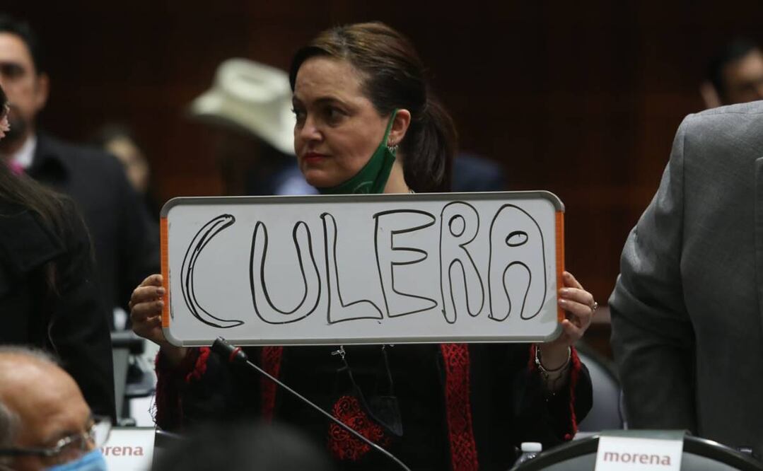 Marisol Gasé, diputada de Morena. Foto: Especial