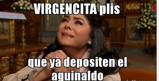 ¿Y esta rosa? Usuarios comparten los mejores memes tras la llegada del aguinaldo