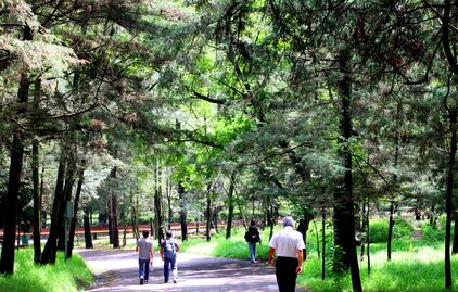 Investigan agresión a corredora en Bosque de Tlalpan