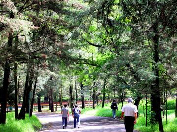 Investigan agresión a corredora en Bosque de Tlalpan