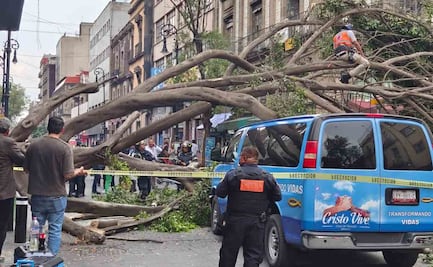 Del calor sofocante a las tormentas; lluvias y fuertes vientos derriban al menos 6 árboles en CDMX