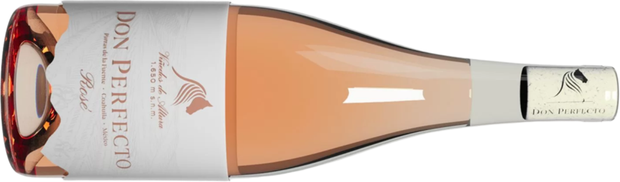 Revelaciones del México Selection by CMB 2025