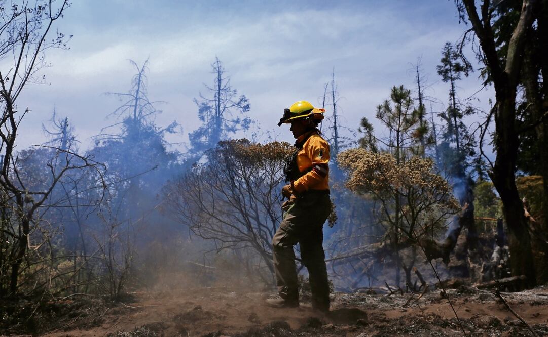 Los amantes del bosque con “miedo al fuego pero con convicción”, atacan los incendios que amenazan a la CDMX. Foto: Diego Prado / EL UNIVERSAL