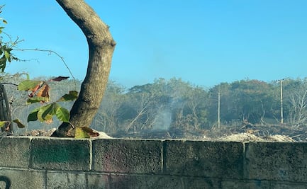Denuncian desmonte y quema de terreno cercano a área natural protegida en Cancún