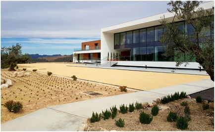 Jumilla, una propuesta vinícola más que interesante