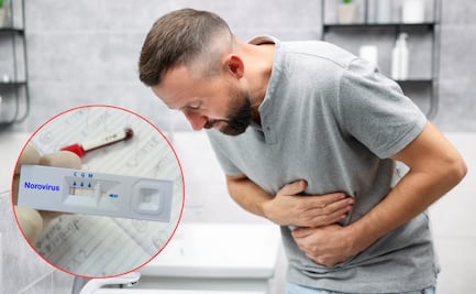 ¿Qué es el norovirus y cuáles son sus principales síntomas?; virus desata brote en el Caribbean Princess 