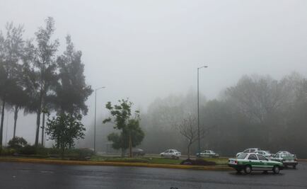 Viento intenso afecta 40 municipios de Veracruz